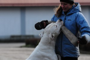 Nemo med plensko igro