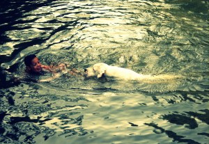 argentinska doga in deklica