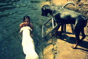 otroci in "nevarne" pasme