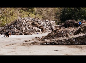 potep po kraškem robu