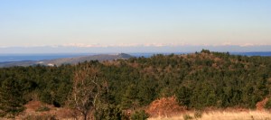 potep po kraškem robu