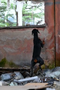 najdba ponesrečenca na višini