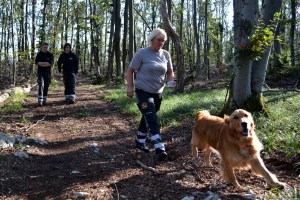 tabor reševalnih psov