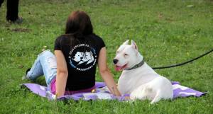 piknik lastnikov argentinskih dog