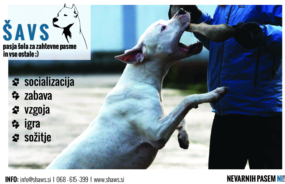 vpisi v pomladanske tečaje