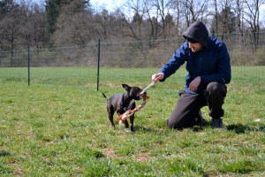 igra kot sprostitev med treningom