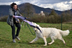 začetki razvijanja plenske igre