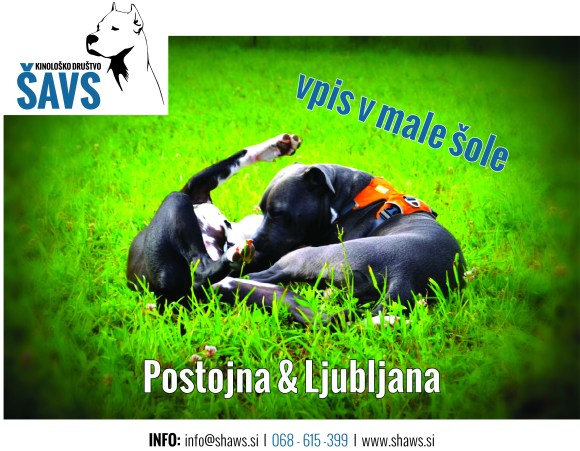 ŠAVS - plakat_male šole