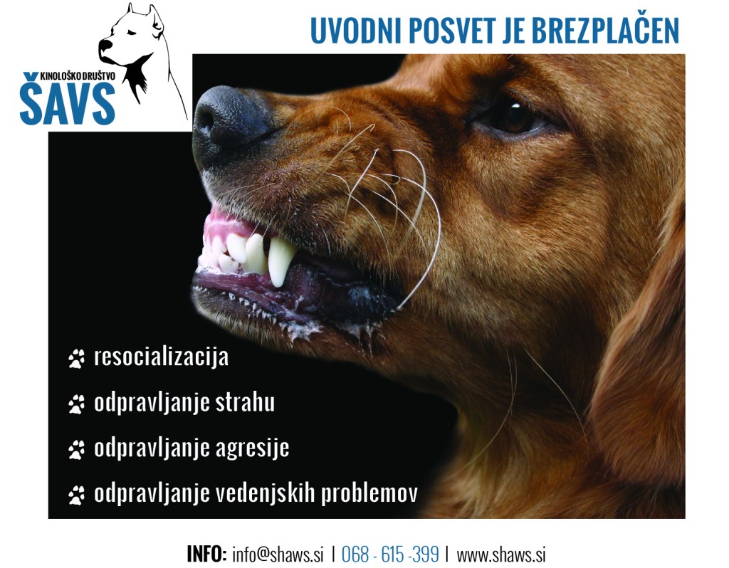 brezplačen uvodni posvet ob vedenjskih problemih