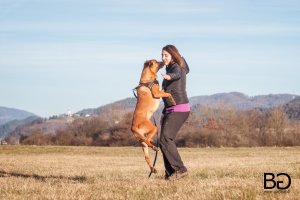 BG_šavs_IMG_3834 copy