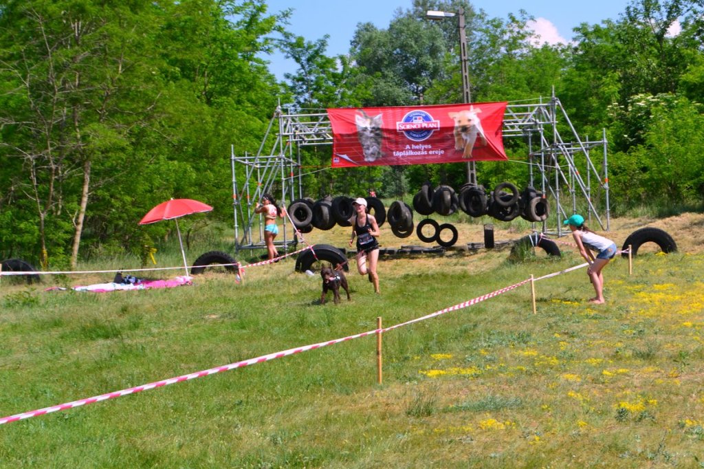 Hard Dog Race – video