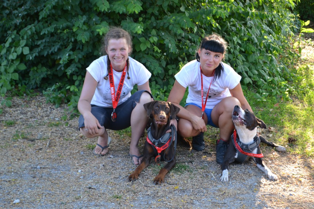 jekleni par na&nbsp;kvadrat