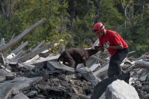 K.JESENKO - disaster - 3