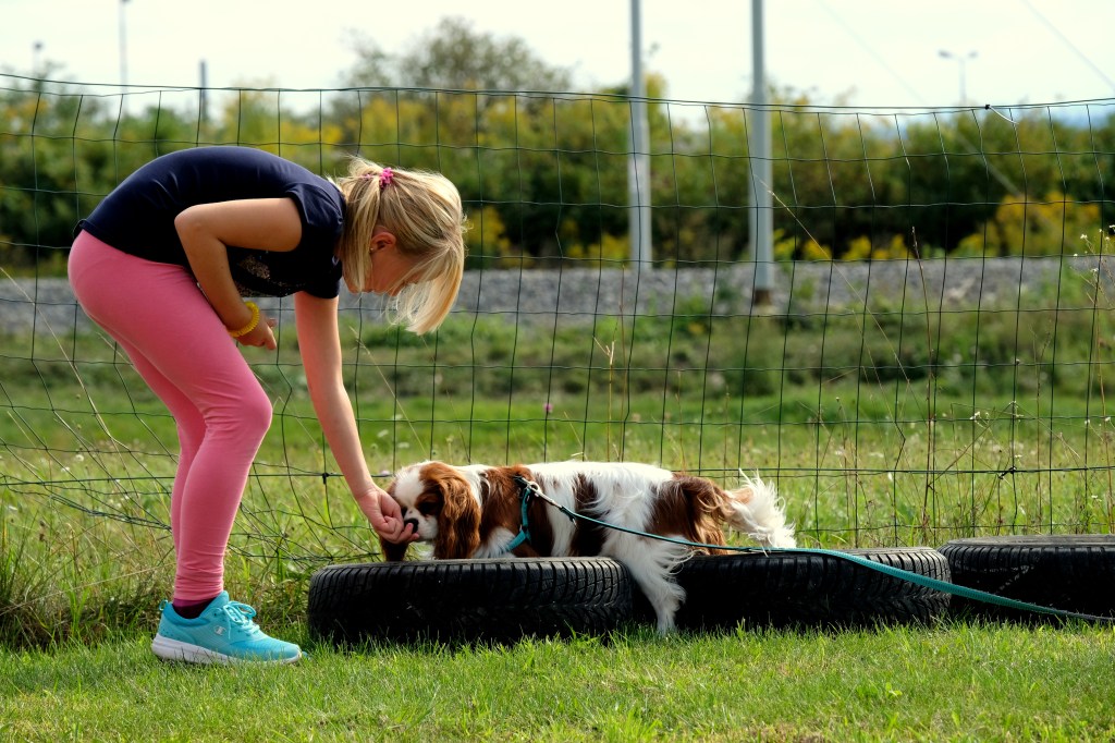 a girl’s best&nbsp;friend…