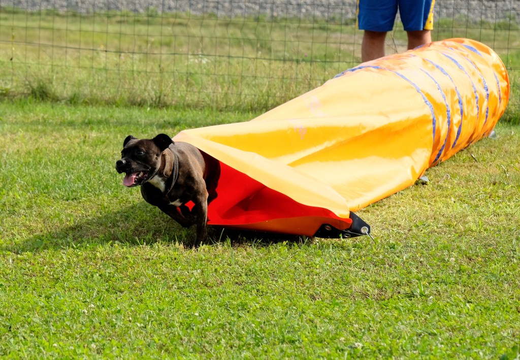Saj zna, če&nbsp;hoče