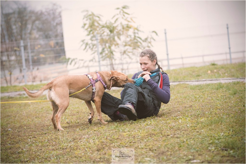 Pet napak, ki jih delate pri igri s&nbsp;psom