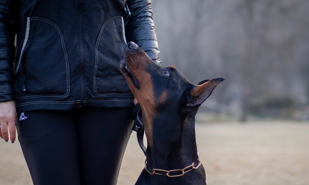 Brezrokavnik vs. torbica: Katera oprema je&nbsp;boljša?
